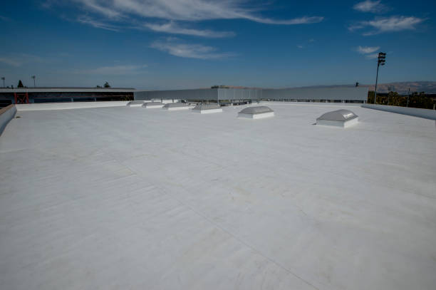 Best Storm Damage Roof Repair  in Dover, OH